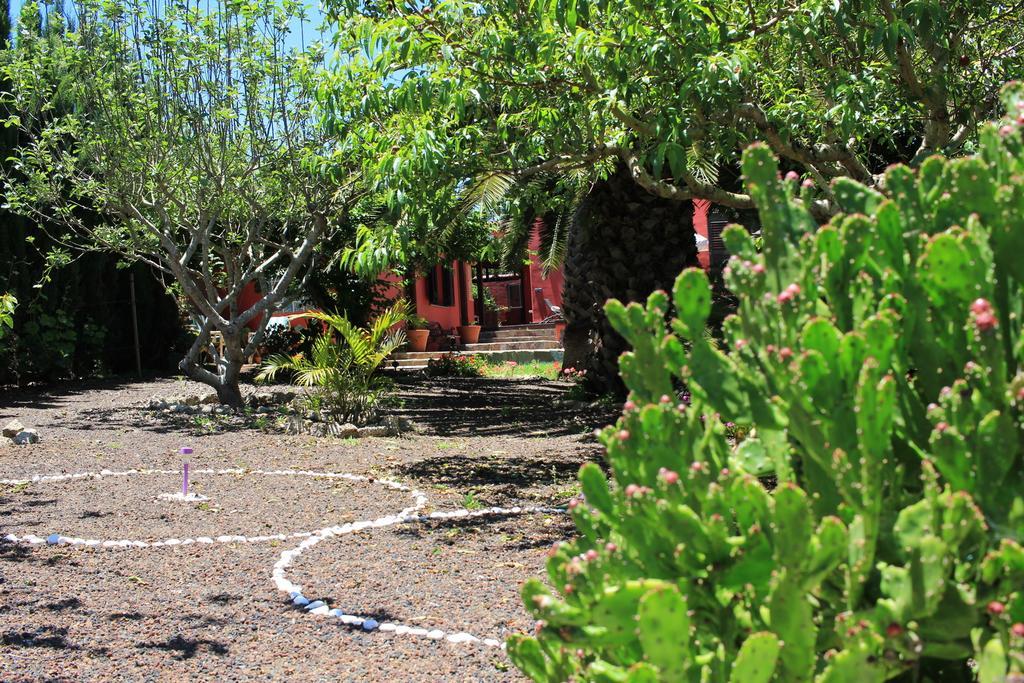 Luxury House In The Heart Of Tenerife Сан-Кристобаль-де-Ла-Лагуна Экстерьер фото